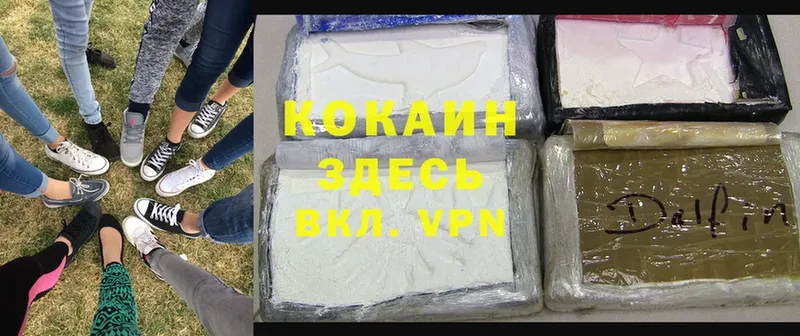 COCAIN Fish Scale  ссылка на мегу вход  Красавино  наркошоп 